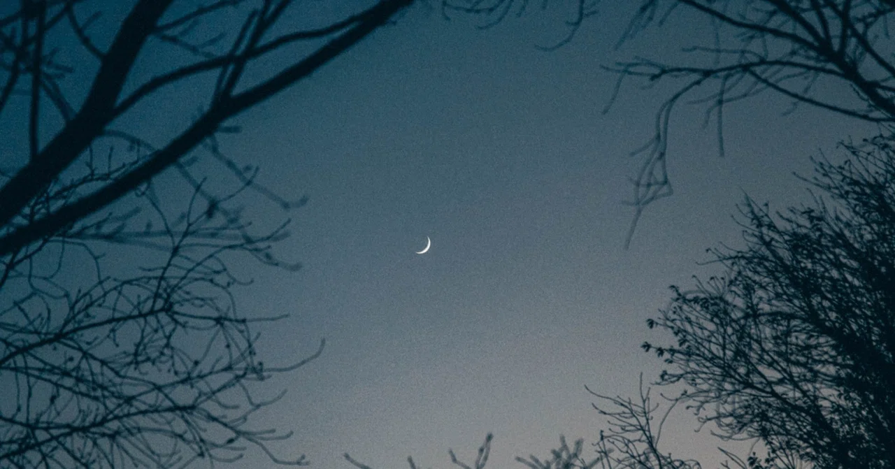 過去写真を見返すことの大切さ。｜Sakurako ｜note