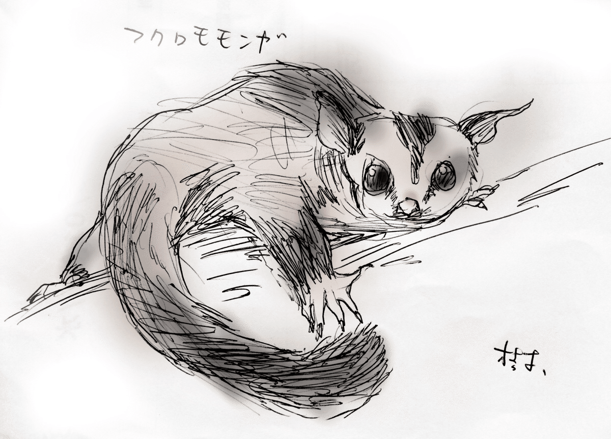 スケッチ フクロモモンガ Gallerytaimu 0728 Note スケッチ フクロモモンガ Gallerytaimu 0728 Note