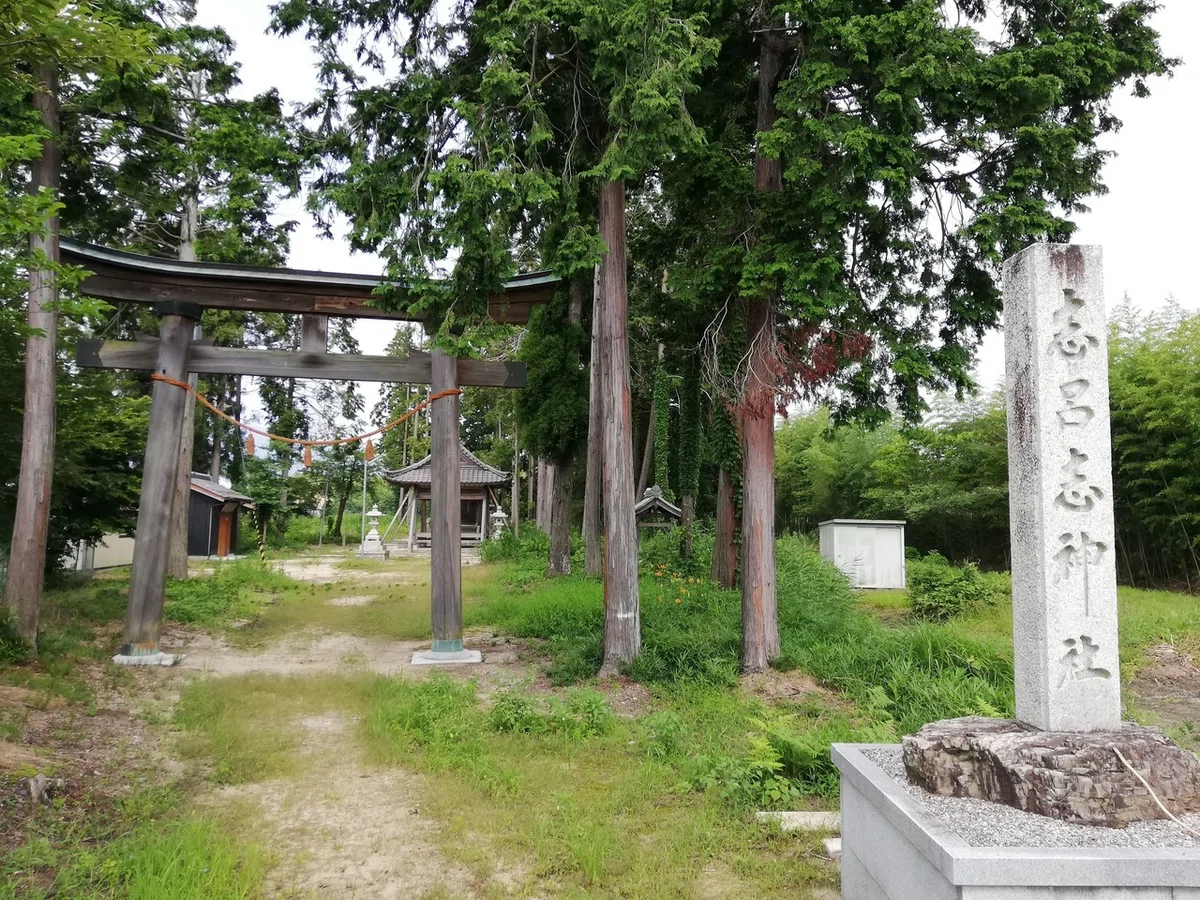 画像41