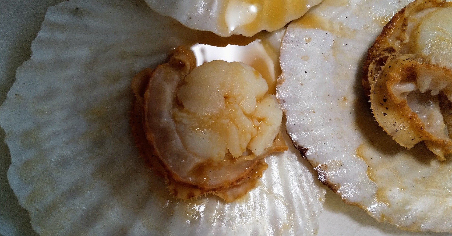 フライパンで殻付きホタテを焼いたよ 焼き方を公開しちゃうよ ミツエモン デカ目ミサイル乳インフルエンサー お守りアクセサリー作家 Note フライパンで殻付きホタテを焼いたよ 焼き方を公開しちゃうよ ミツエモン デカ目ミサイル乳インフルエンサー お守りアクセサリー作家 Note