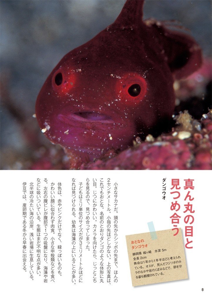 代引き不可】 このまますっとぼけながら突破しちゃいましょう