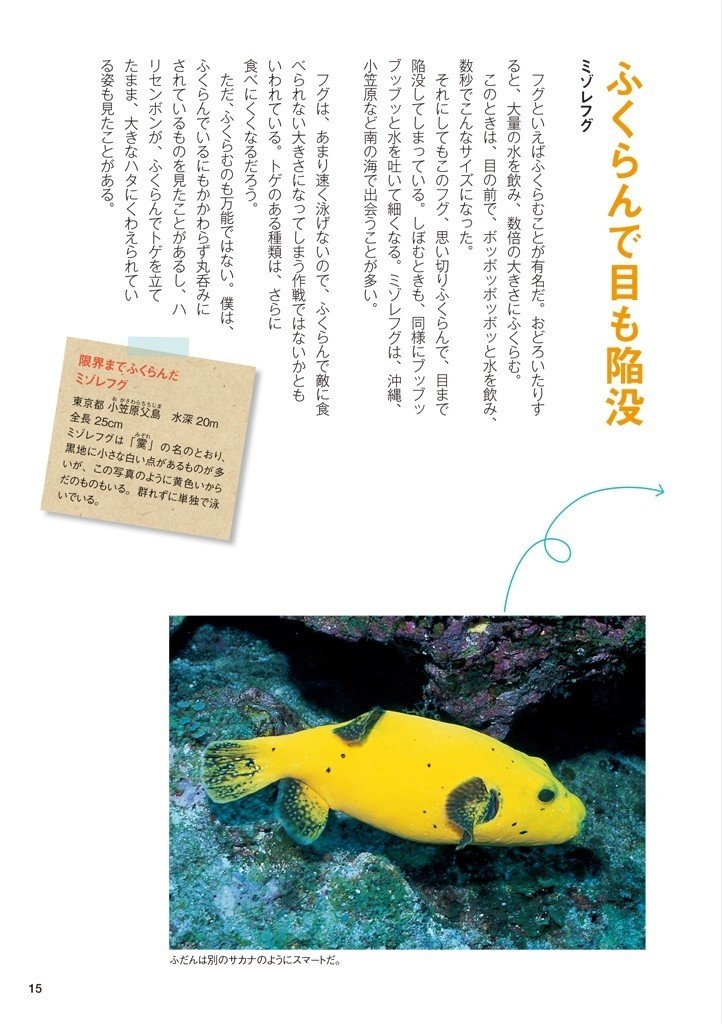 代引き不可】 このまますっとぼけながら突破しちゃいましょう