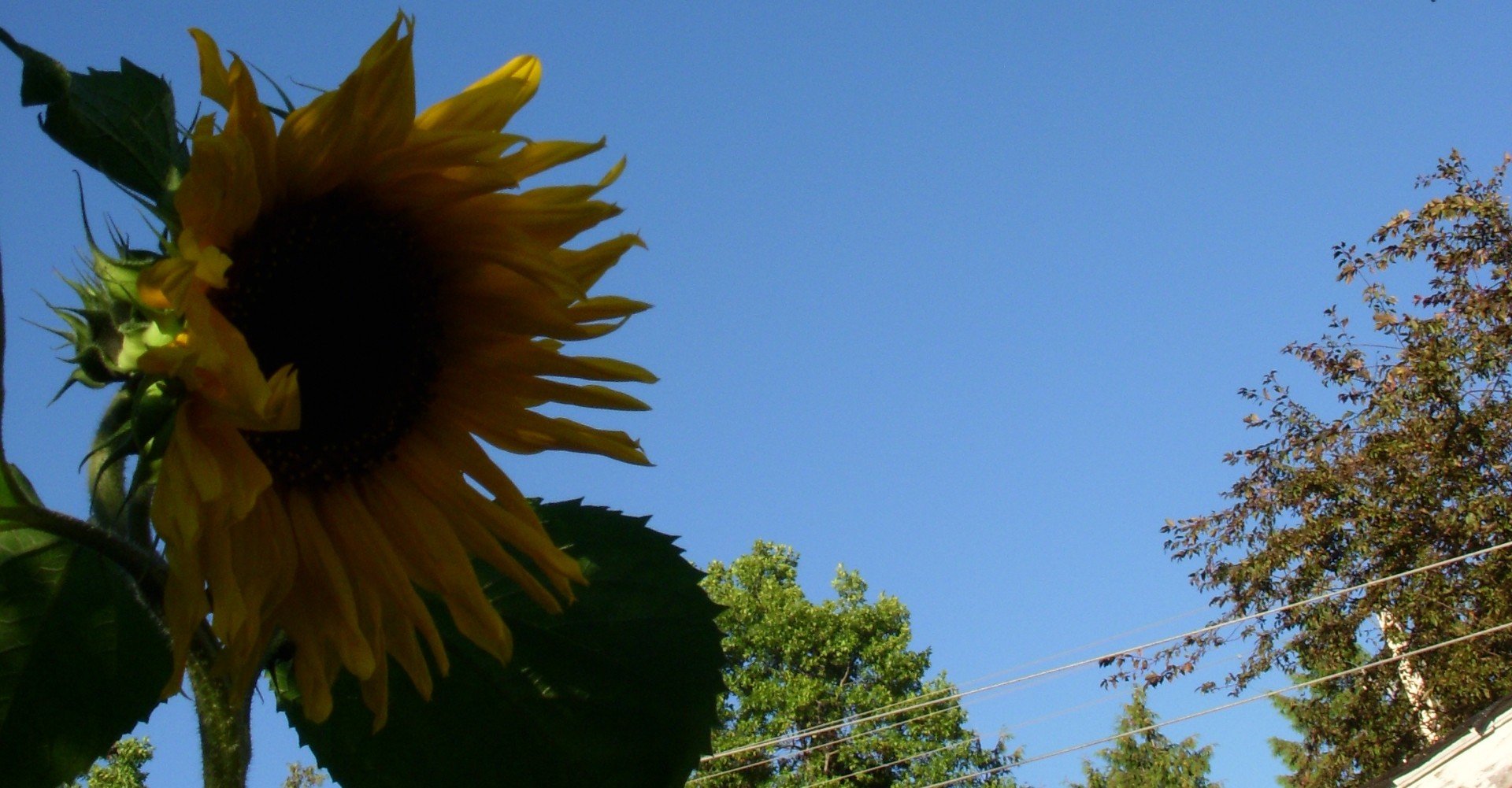 あの夏のヴィクトリアで僕らは何度も乾杯をしたんだ おいしいエッセイ 三戸満平 Note あの夏のヴィクトリアで僕らは何度も乾杯をしたんだ おいしいエッセイ 三戸満平 Note