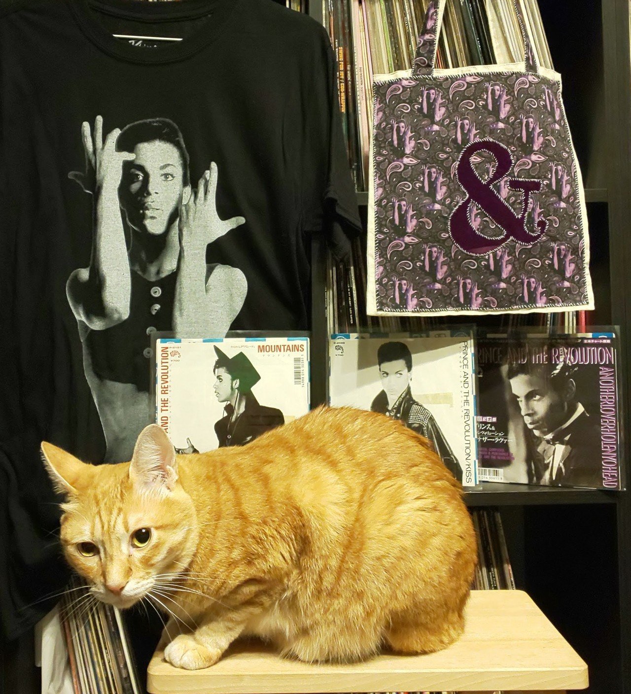 Prince and the Revolution Parade Tour｜babeefunk