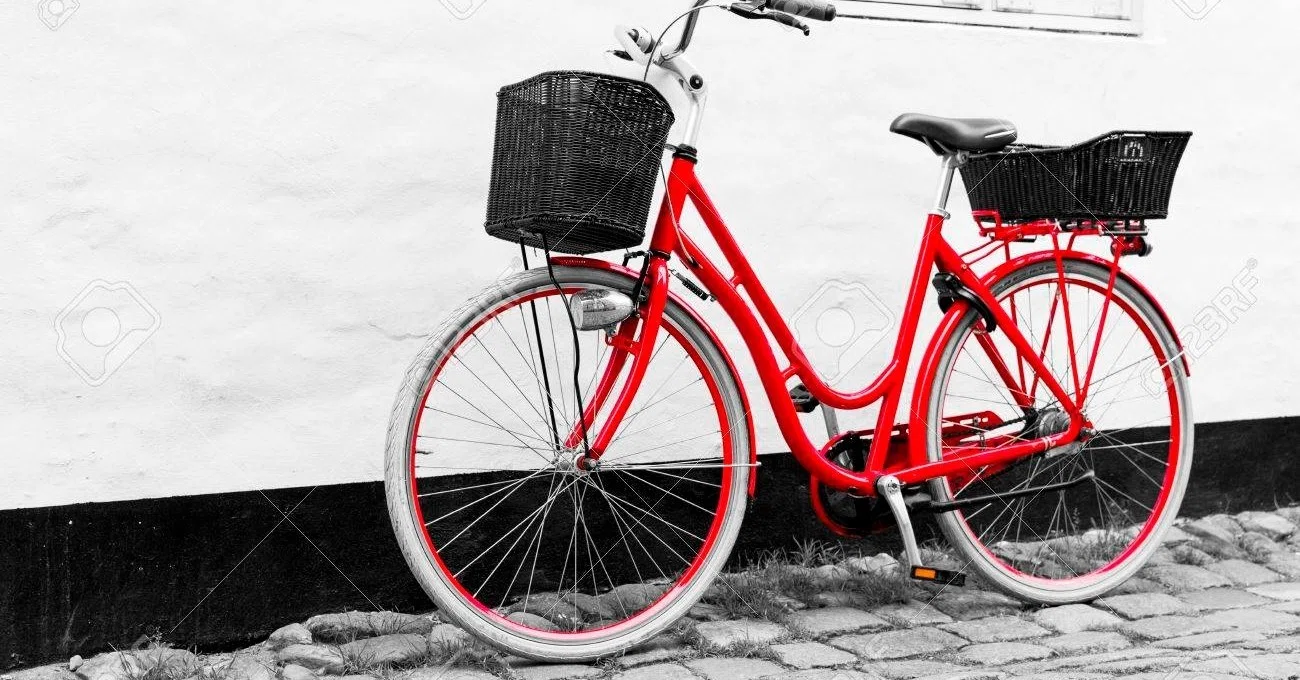 Red bicycle in Tsudanuma 津田沼の赤い自転車 【SONGBIRD forever 