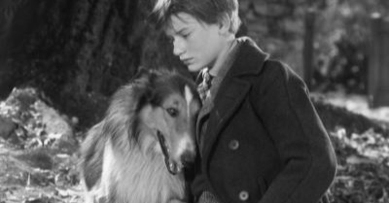 名犬ラッシー」の舞台は、イングランドの炭鉱町｜江島 達也／対州屋