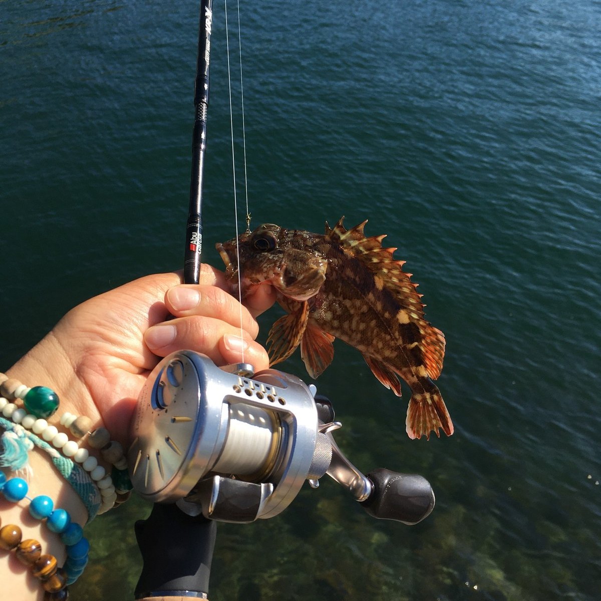 カスタム無しのベイトリールでベイトフィネス。軽量ルアーは投げれるか