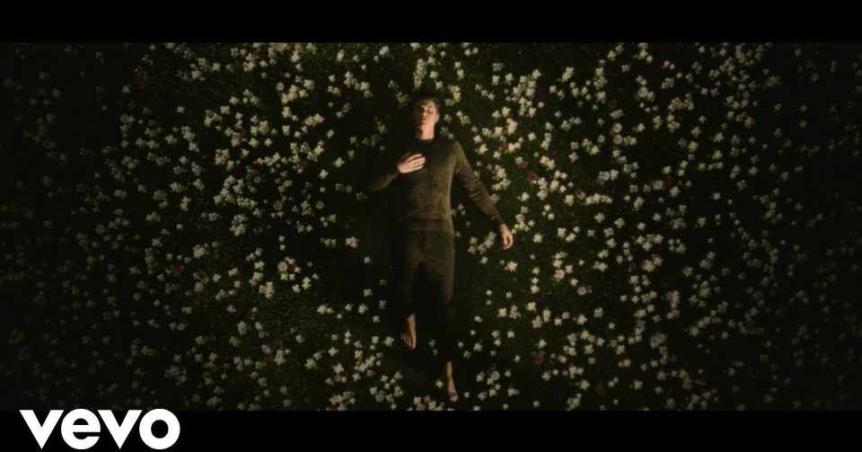 In My Blood Shawn Mendes から英語を学ぼう 和訳 Kurt 英語系ブロガー Note