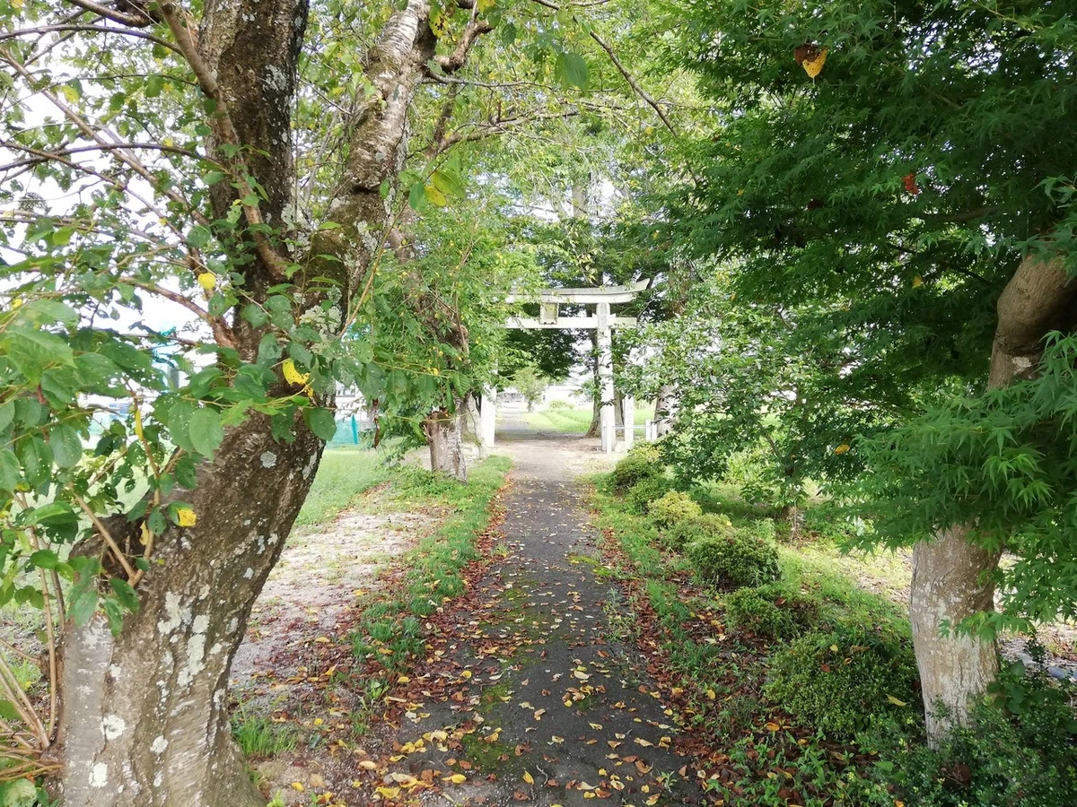 画像51