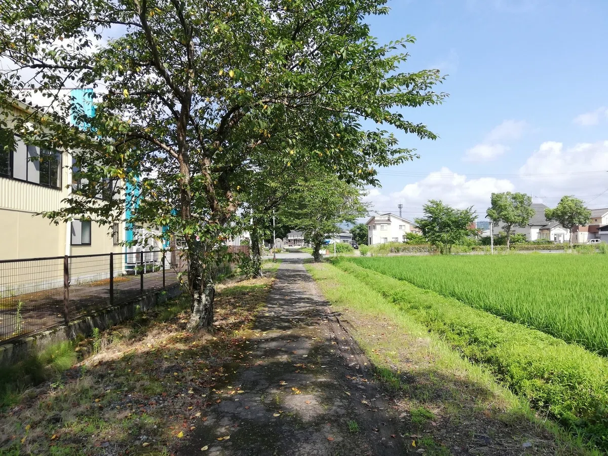画像56