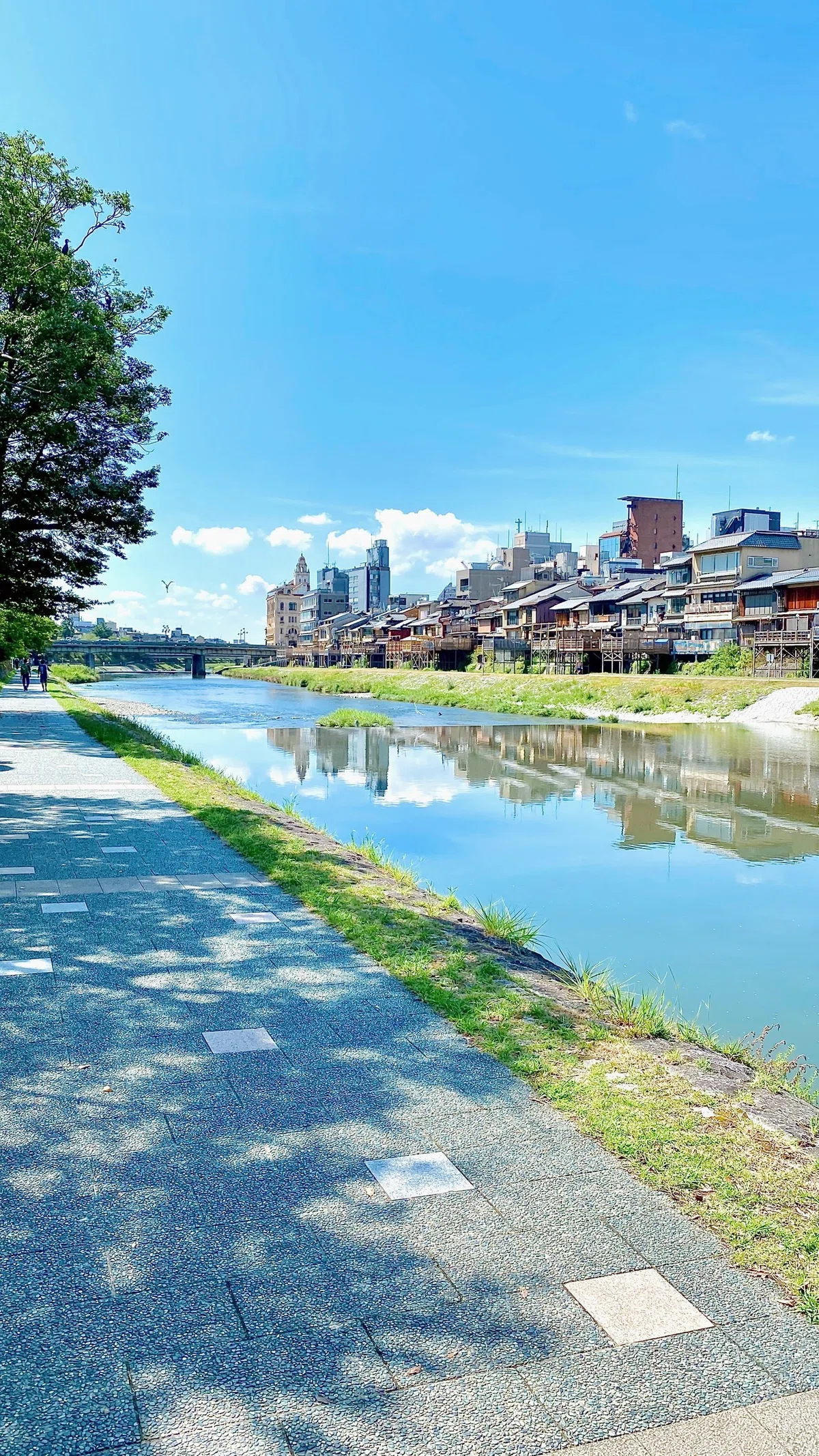 画像11