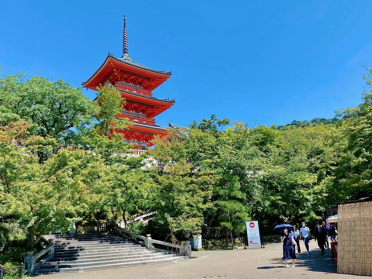 画像15