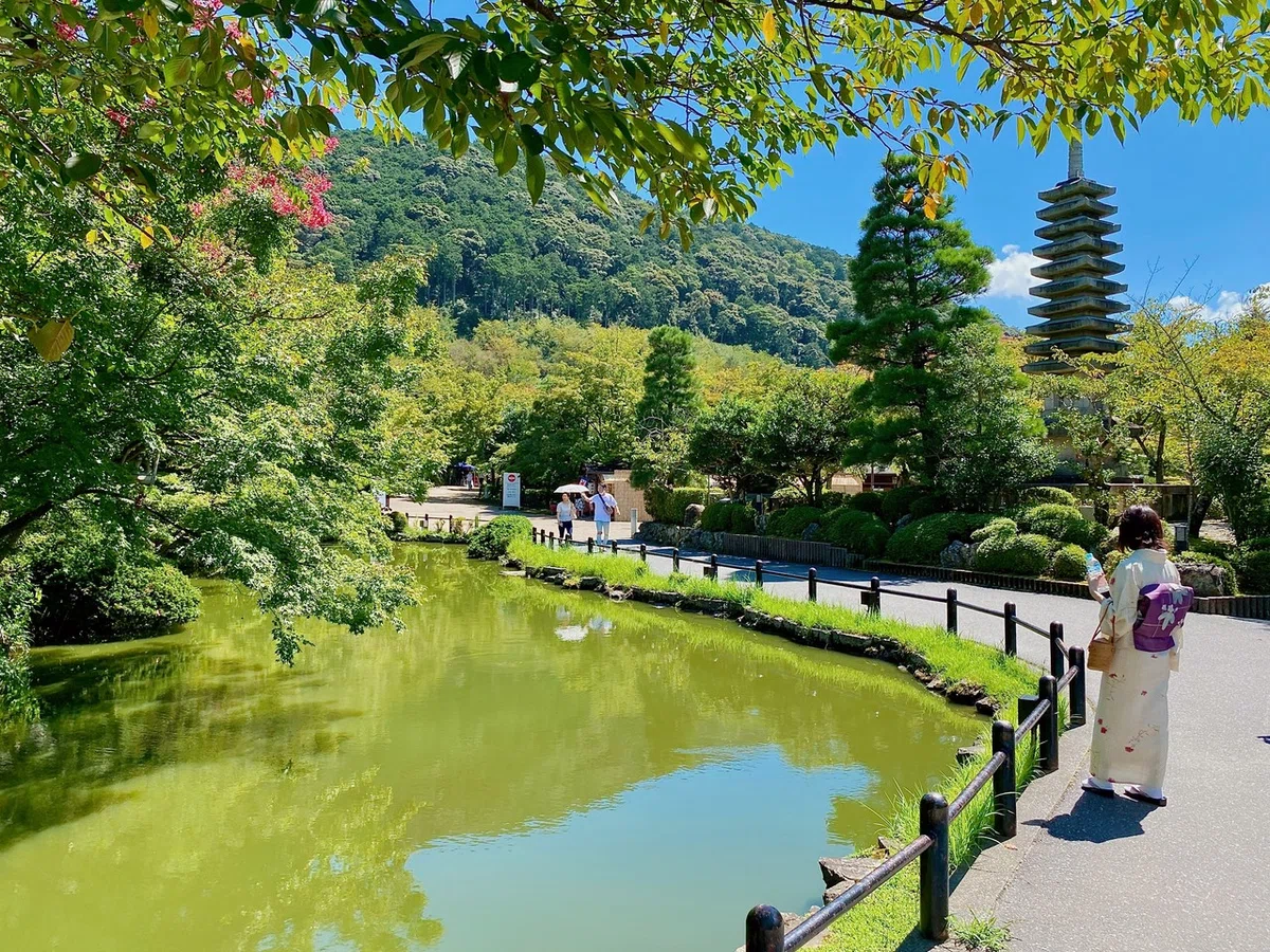 画像16