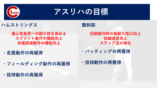 に６６