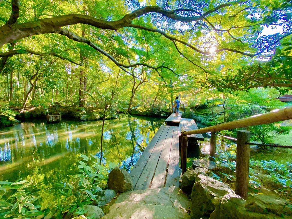 画像29