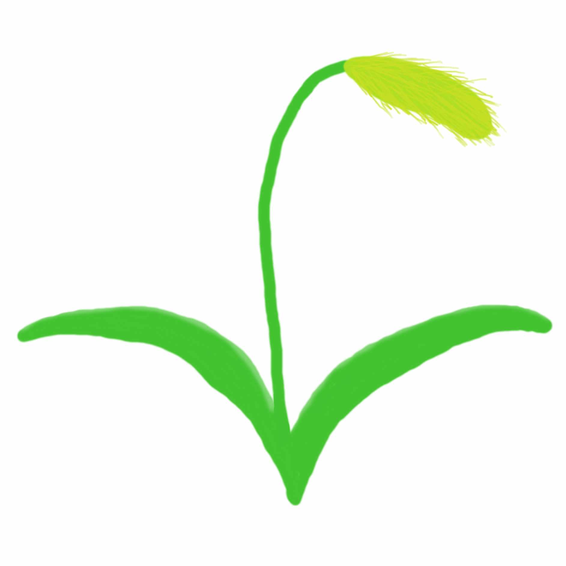 音楽どこで上げればええんやろな って話 Grass Note