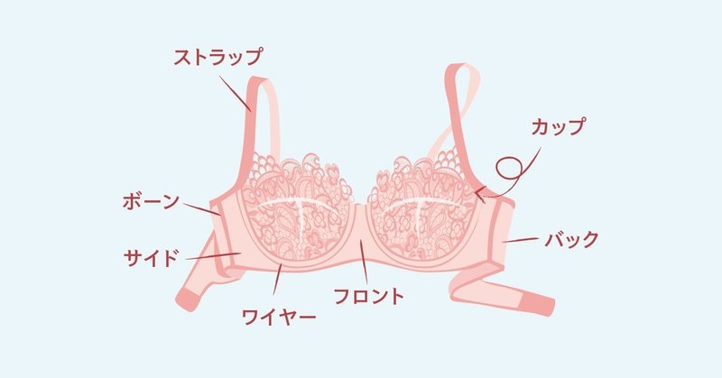 5 Bra 101 ブラジャーの基礎構造 ゆにんこ Note