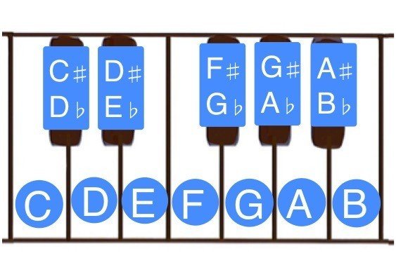 スケール Jun音楽教室 趣味だけど本気でピアノ 夢をかなえよう Note スケール Jun音楽教室 趣味だけど本気でピアノ 夢をかなえよう Note