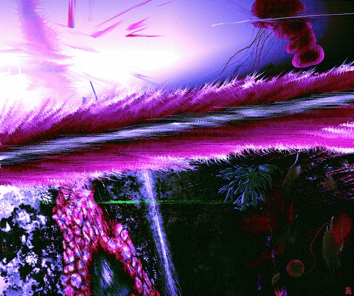 勘違い多過ぎ 有名ポケモン実況者に送ったコラボ依頼で炎上した件に関する私の反論 タヌト Note