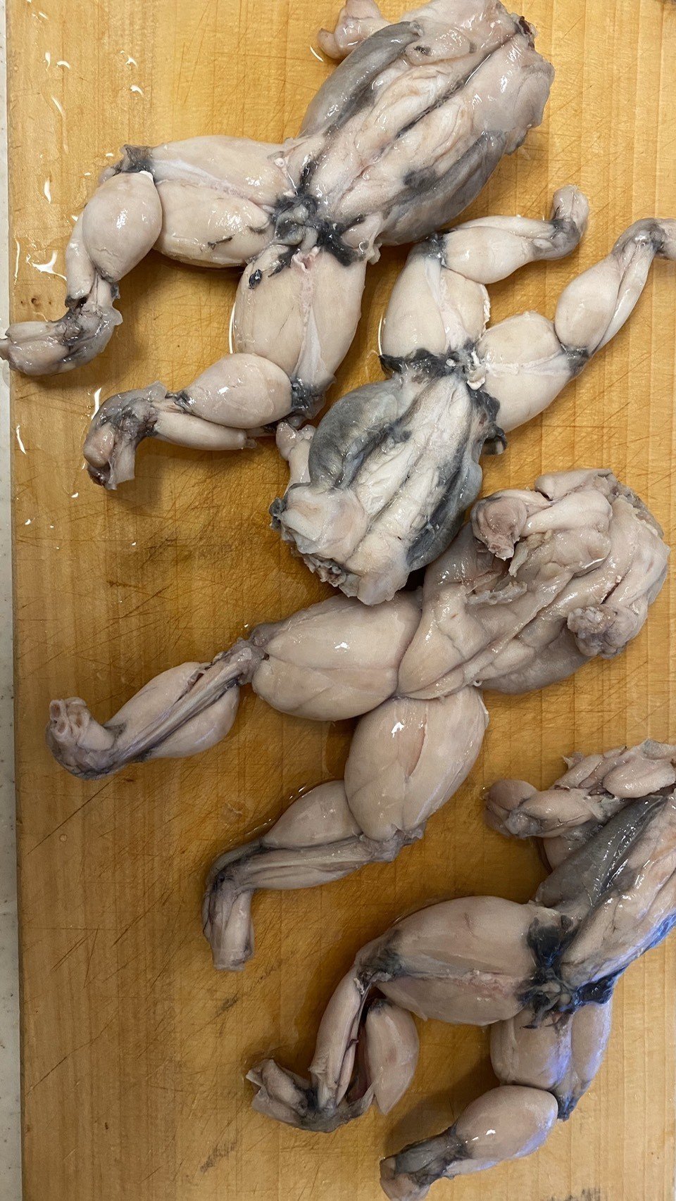カエルの肉を調理して食べてみた だむお Note