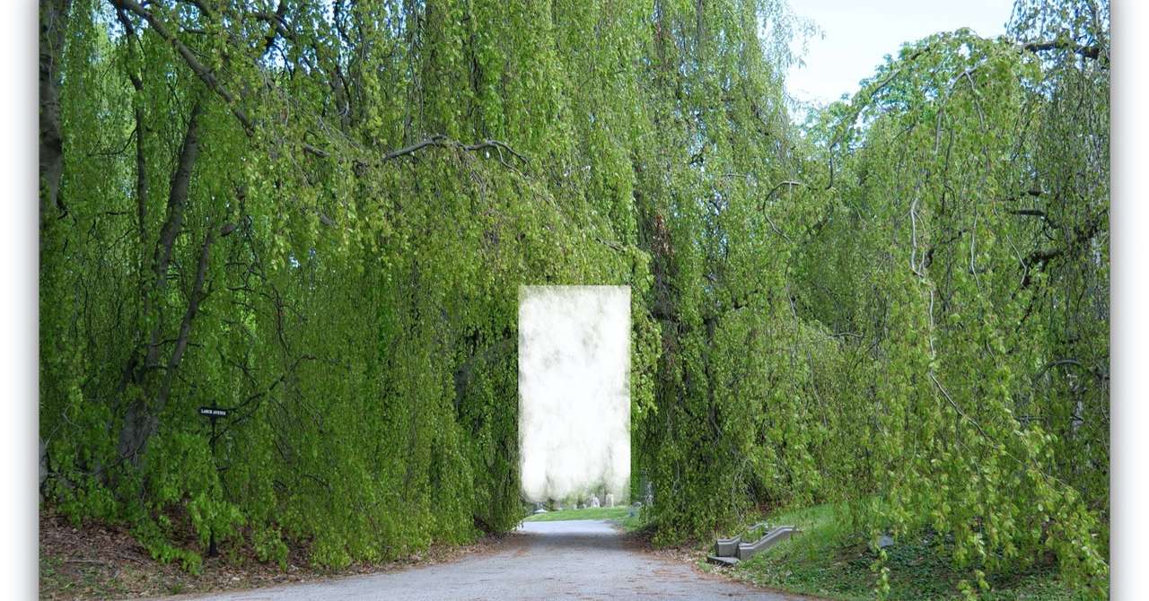 èŠåºãç»å