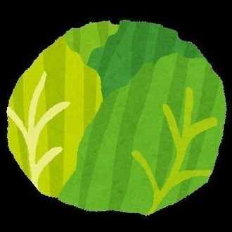 Python 自動いいね Rt フォローするtwitter用プログラムを作ってみた Mitchie Lab Note