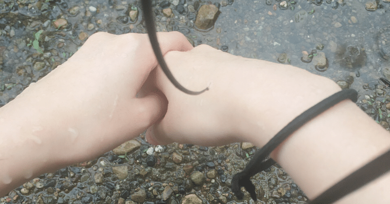 雨に濡れるのが好きな話 スピカ Note