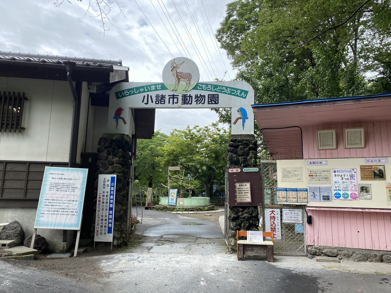 村上春樹さんも愛したライオン ナナ さんの今 ハピズー Note