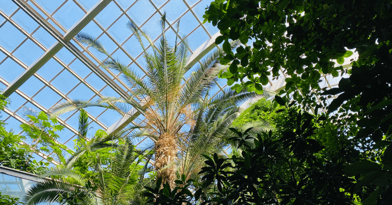 植物園と 風とビール ひろ野 Note 植物園と 風とビール ひろ野 Note