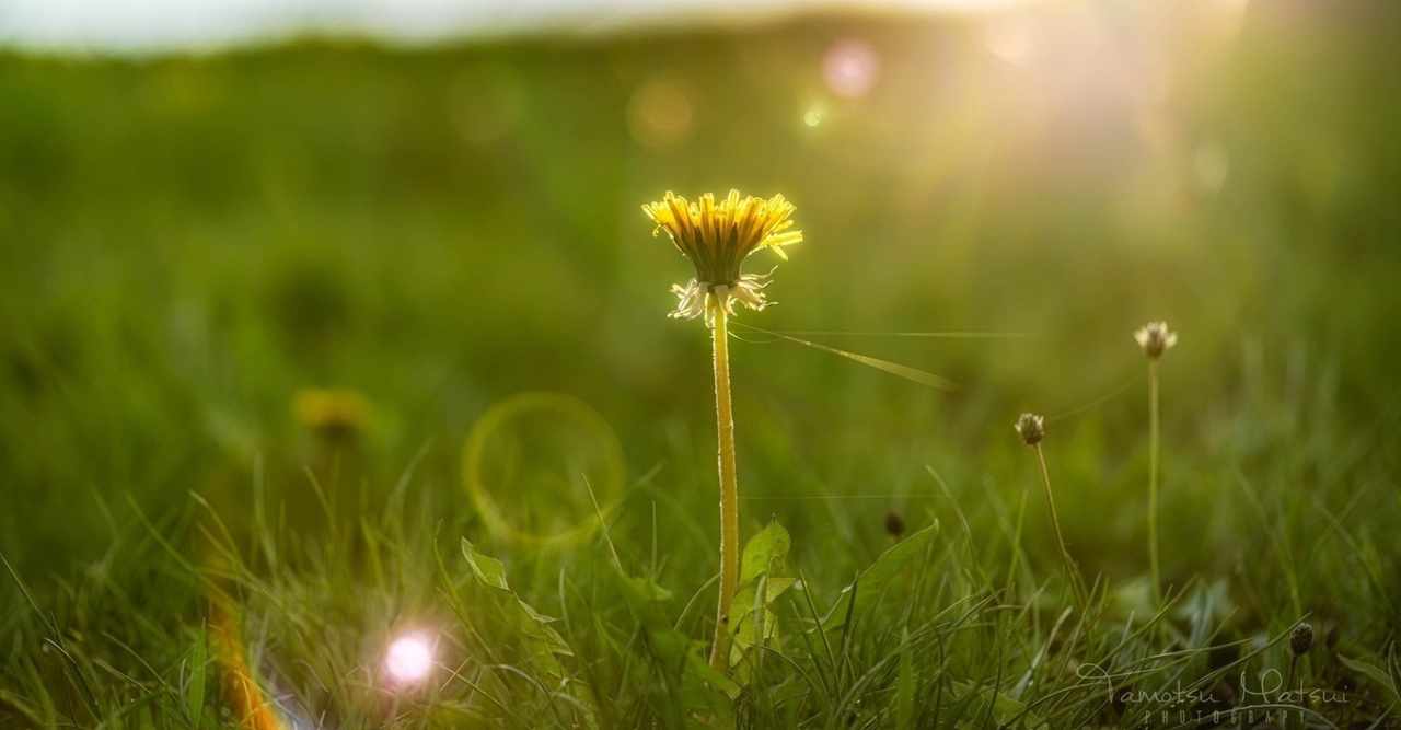 デミアン の新着タグ記事一覧 Note つくる つながる とどける