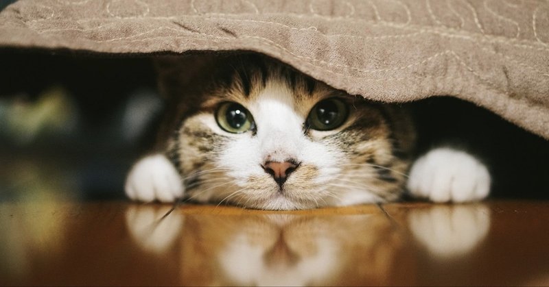 注意 決めつける人は頭が悪いと思われる 考え方の多様化を知るべき 江夏 岳 note