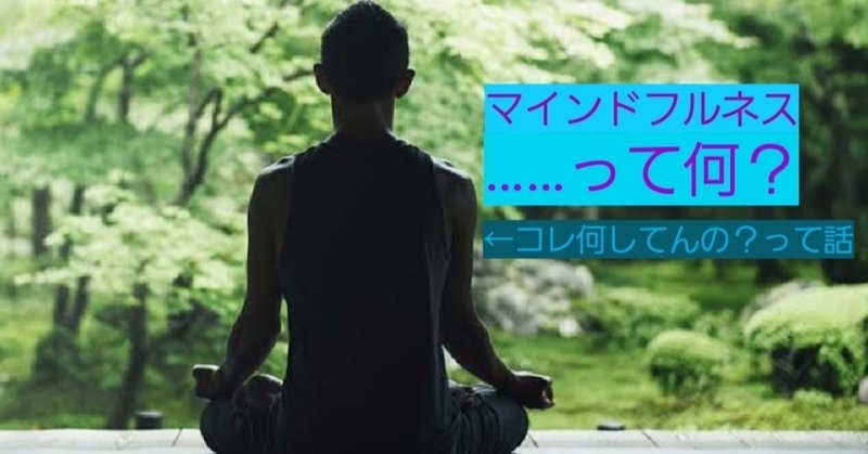 人生を変える科学 マインドフルネス瞑想 の基礎の基礎の話 虫圭 O W カエル Note