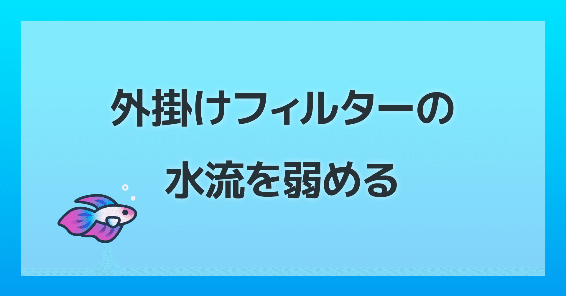 外掛けフィルターの水流を弱める方法 しがお Note