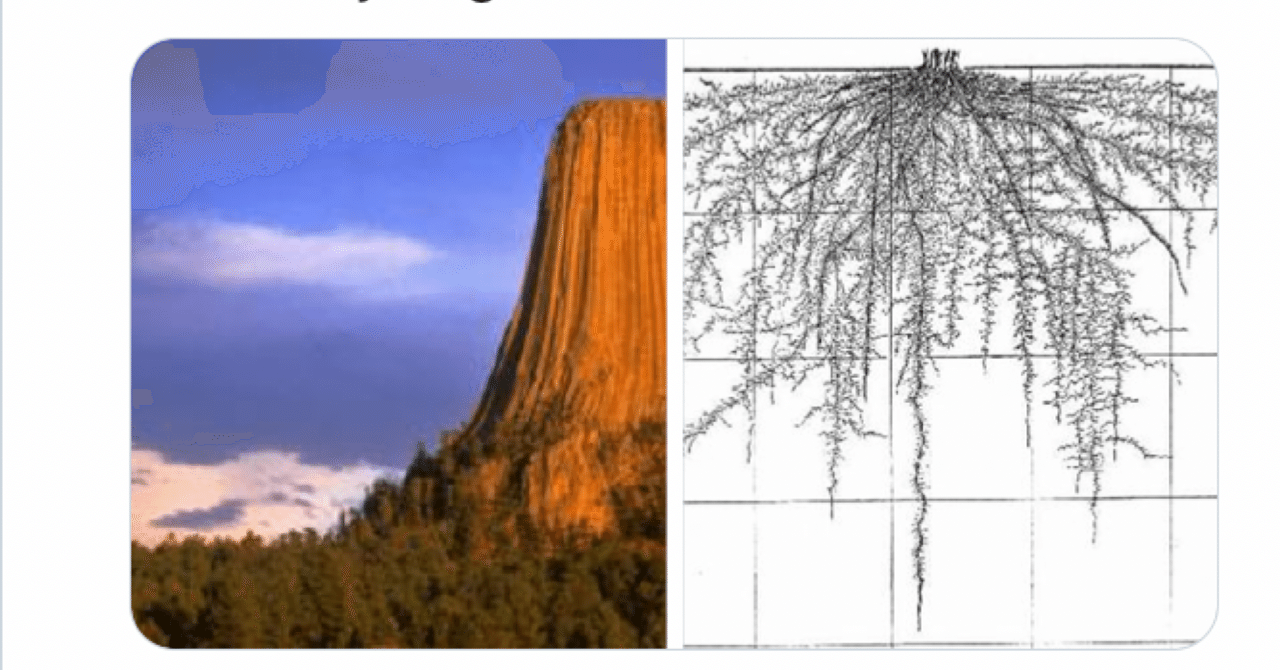 オリジナル作品油絵f3(この地球には山や森は存在しない) オリジナル作品油絵f3(この地球には山や森は存在しない)