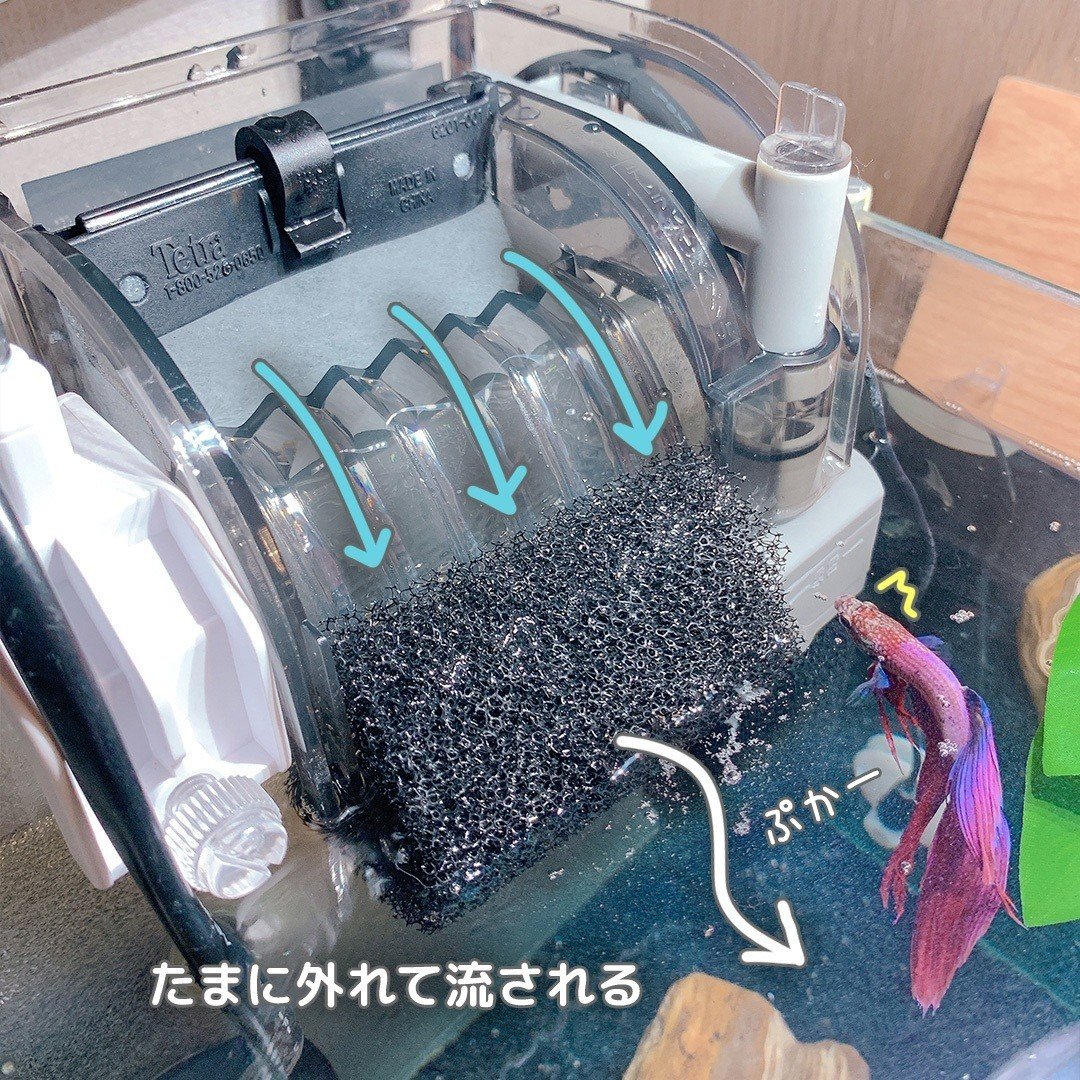 外掛けフィルターの水流を弱める方法 しがお Note