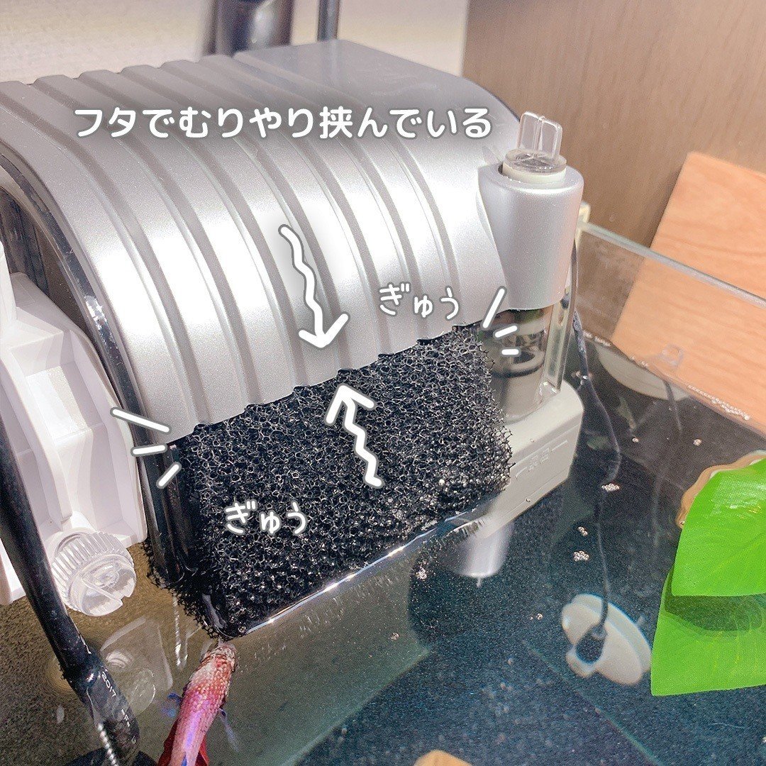 外掛けフィルターの水流を弱める方法 しがお Note