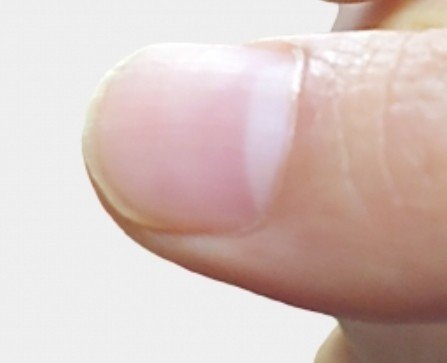 爪の形で見る性格判断 おぎの陽子 キュウちゃん Note