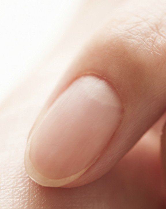 爪の形で見る性格判断 おぎの陽子 キュウちゃん Note