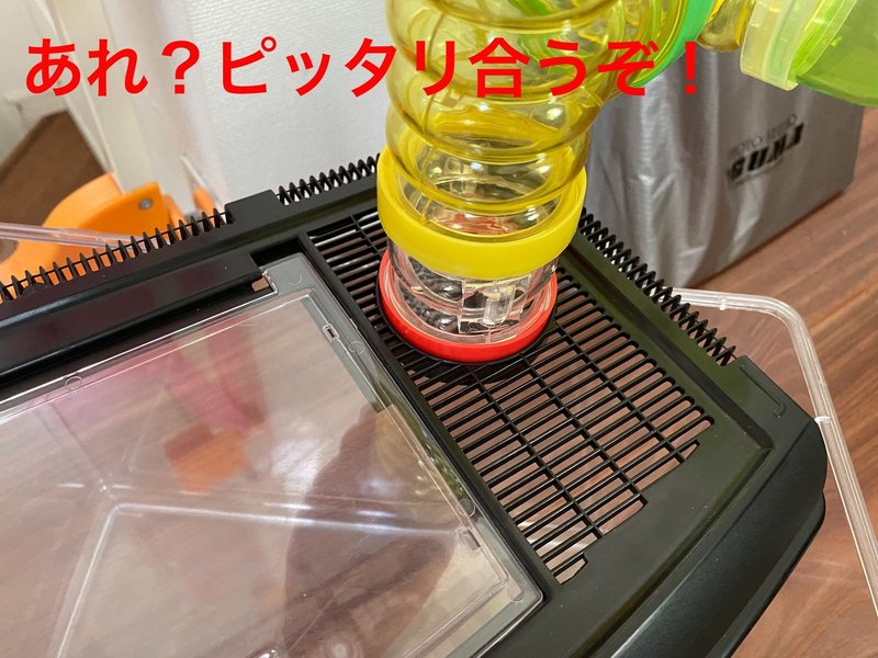 ハムスター飼育日記136日目と48日目 9 6 サトウショウヘイ Note