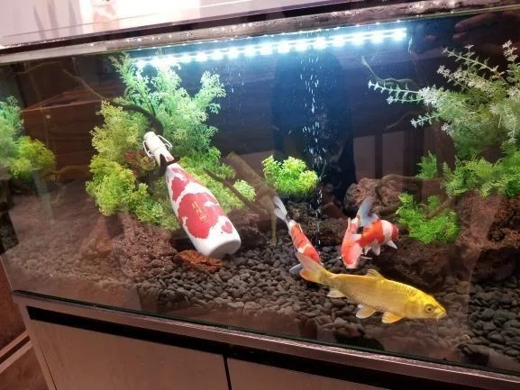 画像15