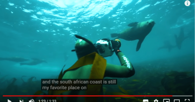 【1分リスニング＆クイズ】南アフリカの海岸線｜National Geographic