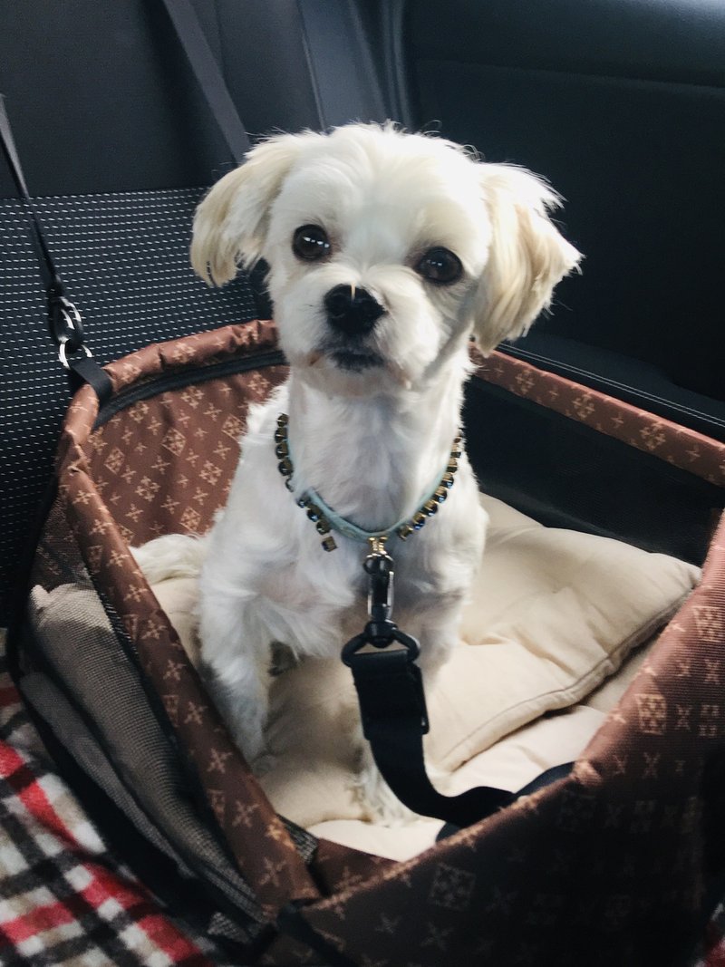 粗食からの ごちそう じょり家のフランス的週末ごはん ユイじょり Note