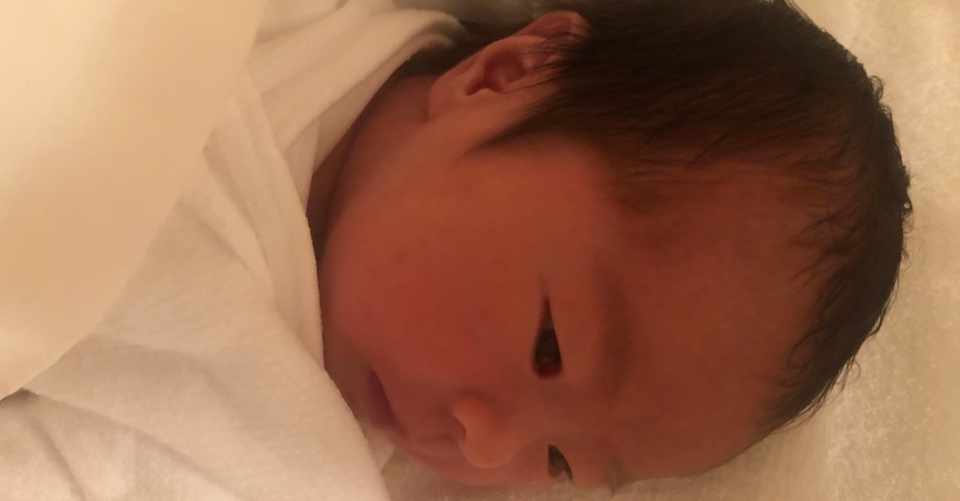 こまゆちゃんの日記 ようこそ人間世界へ こまゆちゃん出産レポート こまゆちゃん Note