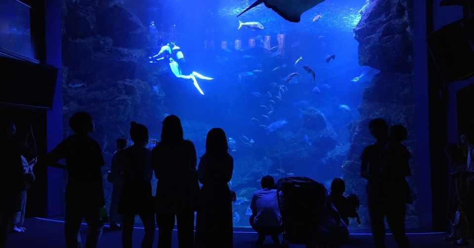 失恋の乗り越え方 ビール 映画 タコ リパブリック Note