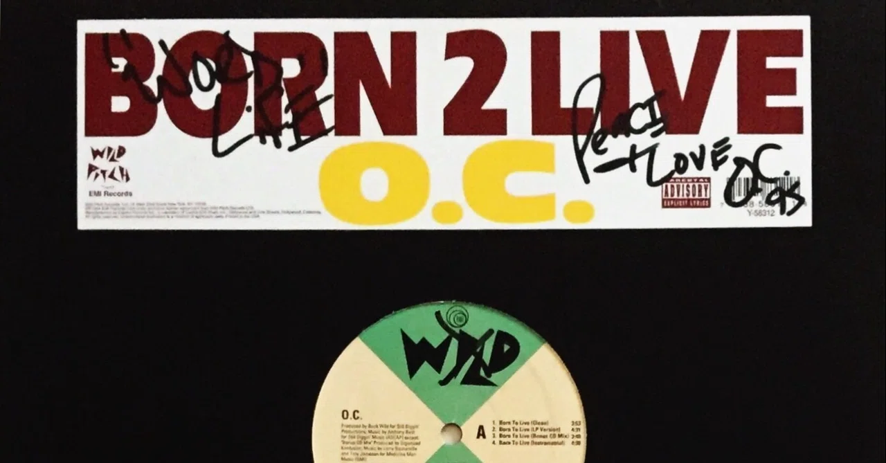 【非売品】正規品 リンドバーグ 四人全員直筆サイン 1995年ライブ VINYL ONLY！ サイン蒐集の記録 1995年上半期｜五辺宏明