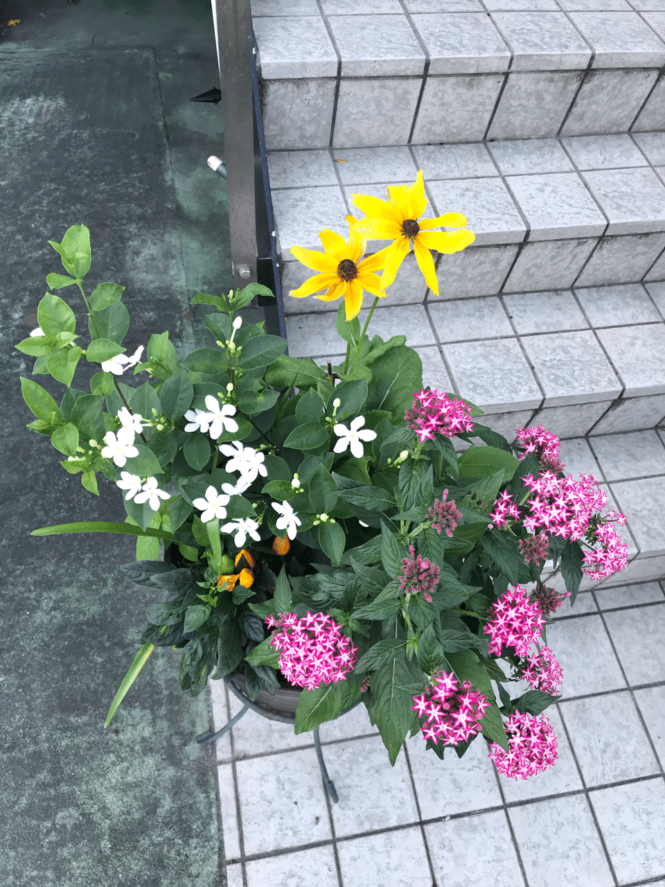 夏の終わり 今花 玉兎 Note 夏の終わり 今花 玉兎 Note