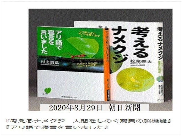 ナメクジ_R