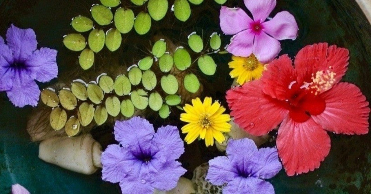 自分らしい花を咲かせるの 花って 777文字 Note