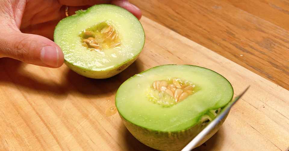 この家庭菜園メロンは失敗なのか 田口彩人 長野県佐久移住日記 Note