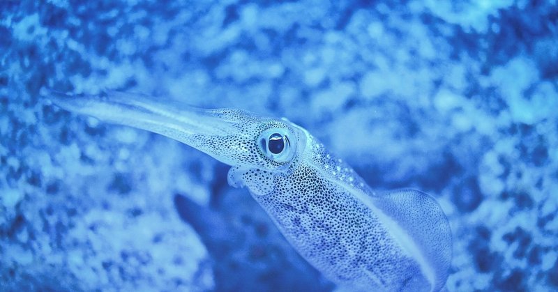 わきめもふらずに海月(クラゲ)の世界に没入するんだ